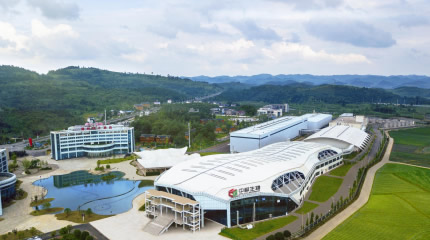 Aerial view of the factory area